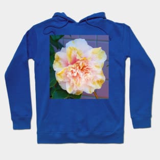 Camellia Hoodie